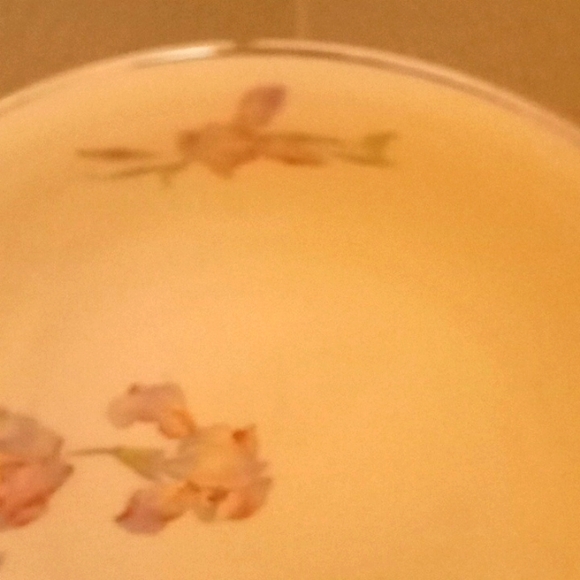 Vintage Universal Cambridge Iris Camwood Ivory- Bundle of 2 Vegetable Bowls - Picture 5 of 12